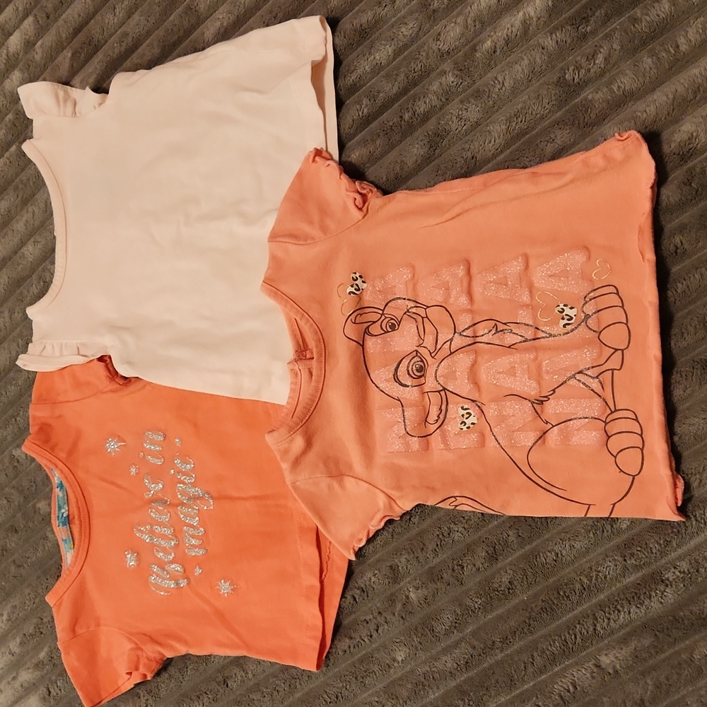12 Month Baby Girl Top Bundle